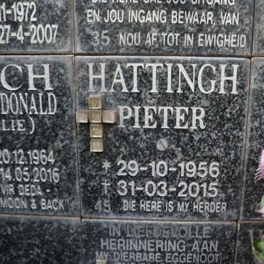 HATTINGH Pieter 1956-2015