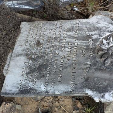 BOTHA Cornelia Dorothea Louisa nee GOOSEN 1857-1915