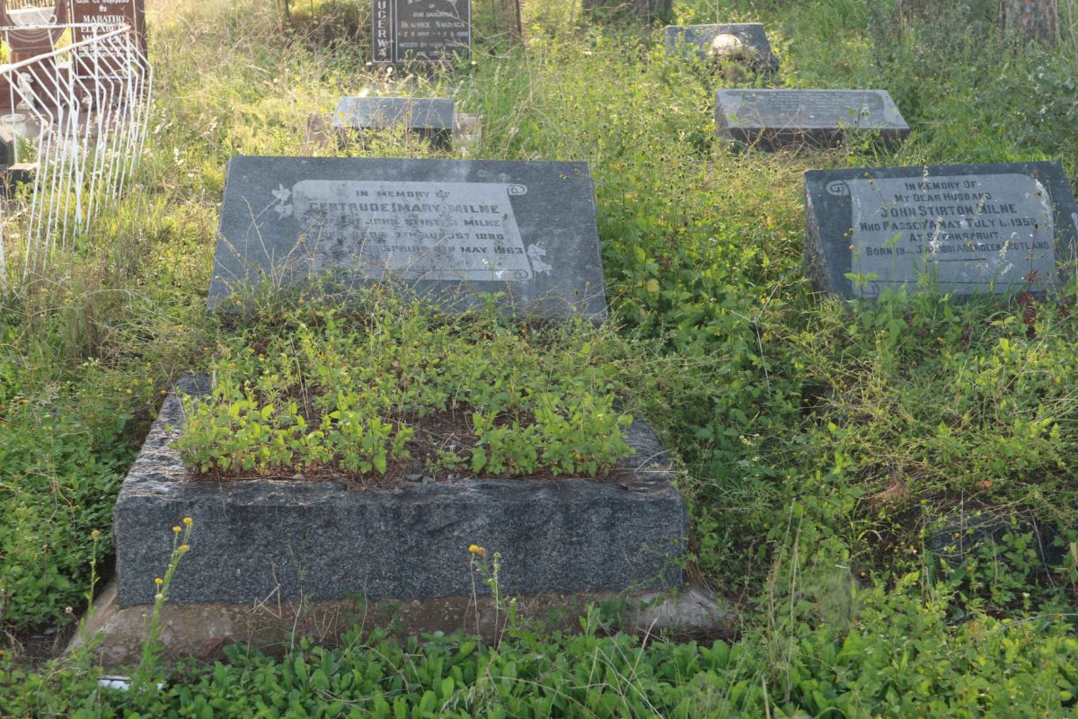 1. Overview