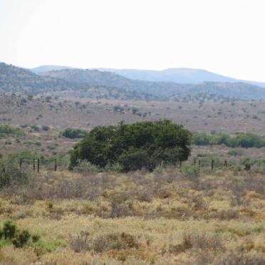 Eastern Cape, STEYTLERVILLE district, Roode Klip 136, Rooiklip farm cemetery