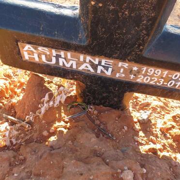 HUMAN Ashline 1991-2023