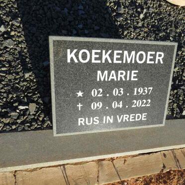 K - Surnames :: Vanne - K