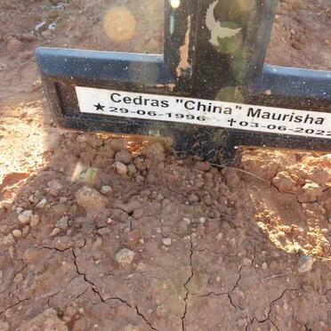 M - Surnames :: Vanne - M