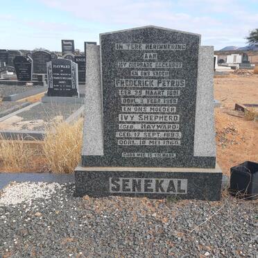 SENEKAL Frederick Petrus 1891-1959 &amp; Ivy Shephard HAYWARD 1893-1960