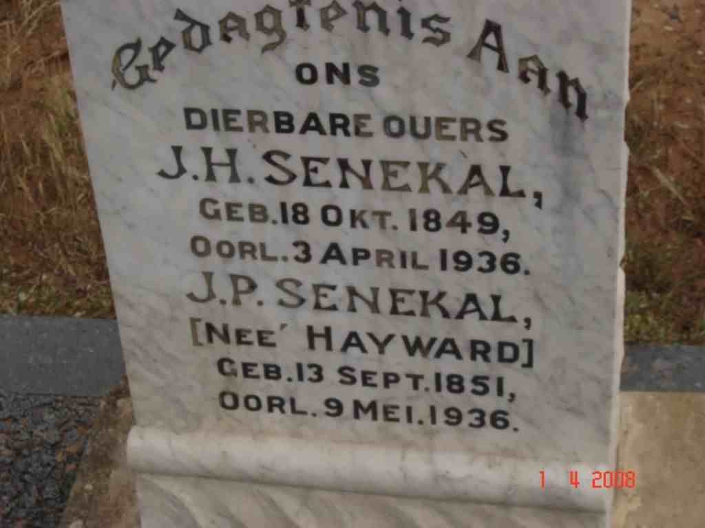 SENEKAL J.H. 1849-1936 &amp; J.P. HAYWARD 1851-1936