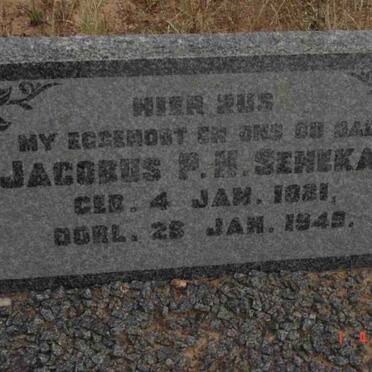 SENEKAL Jacobus P.H. 1881-1949