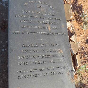 WILLIAMS Edwin 1859-1897 :: WILLIAMS Alfred 1888-1889