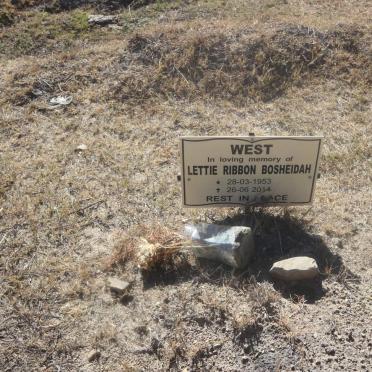 BOSHEIDAH Lettie Ribbon 1953-2014