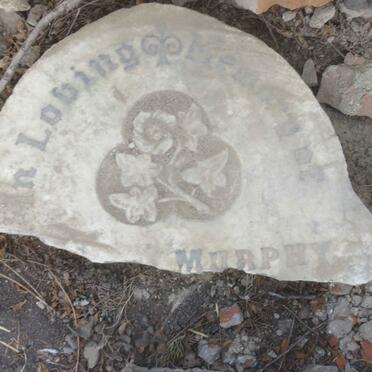 MURPHY Sarah J. 1846- :: MURPHY James :: MURPHY John