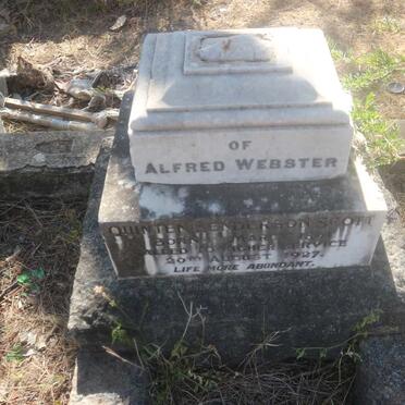 SCOTT Quinten Henderson 1861-1927