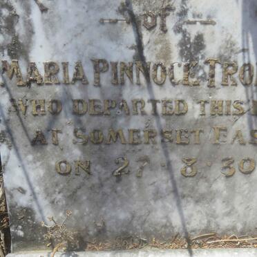 TROLLIP Maria Pinnoce -1930
