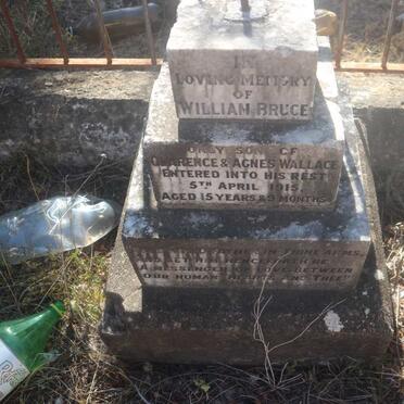 WALLACE William Bruce -1915