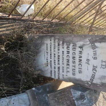 WATSON Francis Augustus Burchell -1908