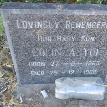 YUI Colin, AH 1968-1968