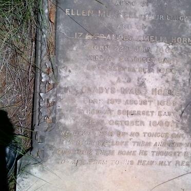 HORNE Henry -1885 and Christina Catharina -1911