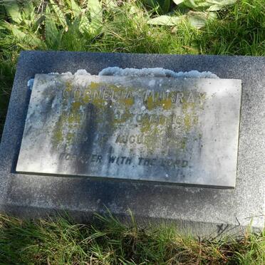 MURRAY Cornelia 1893-1969
