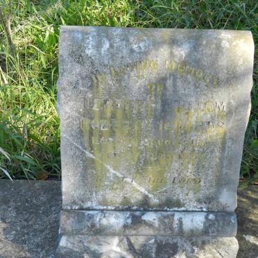 RICHARDS Herbert William Robert -1936