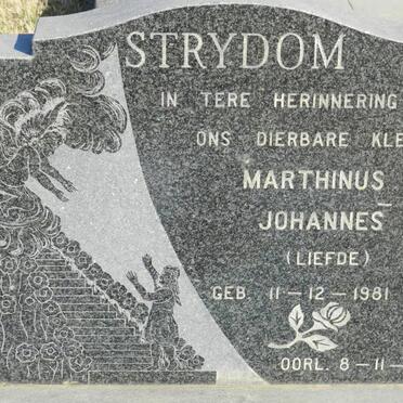 STRYDOM Marthinus Johannes 1981-1981