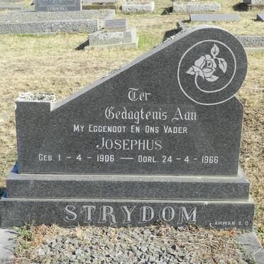 STRYDOM Josephus 1906-1966