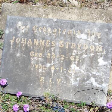 STRYDOM Johannes 1863-1931