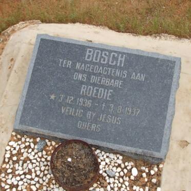 BOSCH Roedie 1936-1937