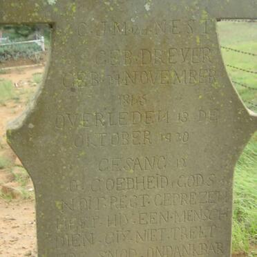 NEST C.J.M., v.d. nee DREYER 18?5-1920