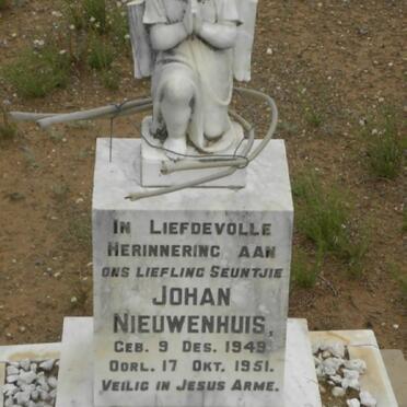 NIEUWENHUIS Johan 1949-1951