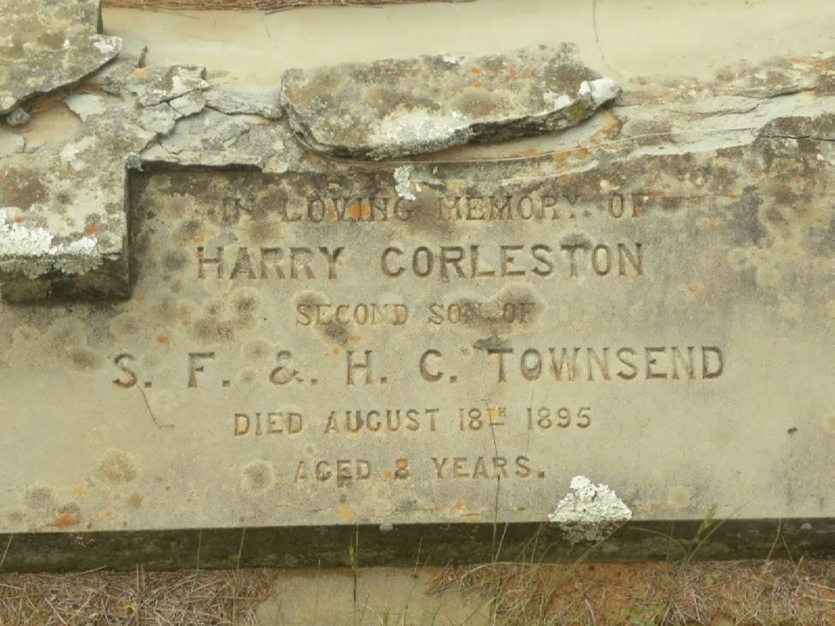 TOWNSEND Harry Corleston -1895