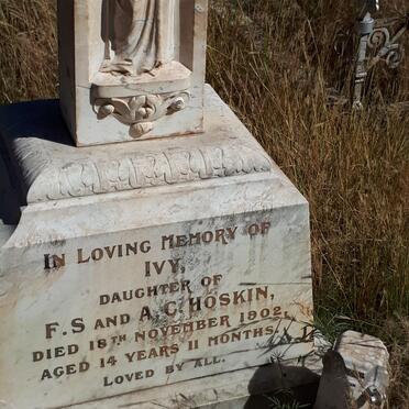 HOSKIN Ivy -1902