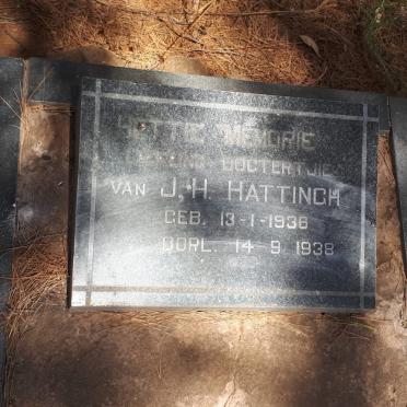 HATTINGH 1936-1938