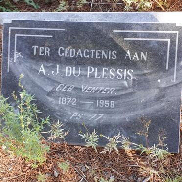 PLESSIS A.J., du nee VENTER 1872-1958