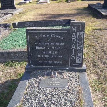 MARAIS Diana V. nee MILES 1928-1964 :: MARAIS Ian 1960-1985