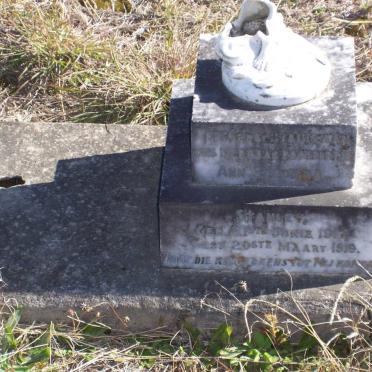 STANLEY Ann Sarolina 1917-1919