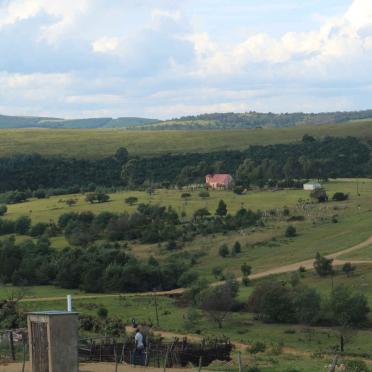 1. Overview