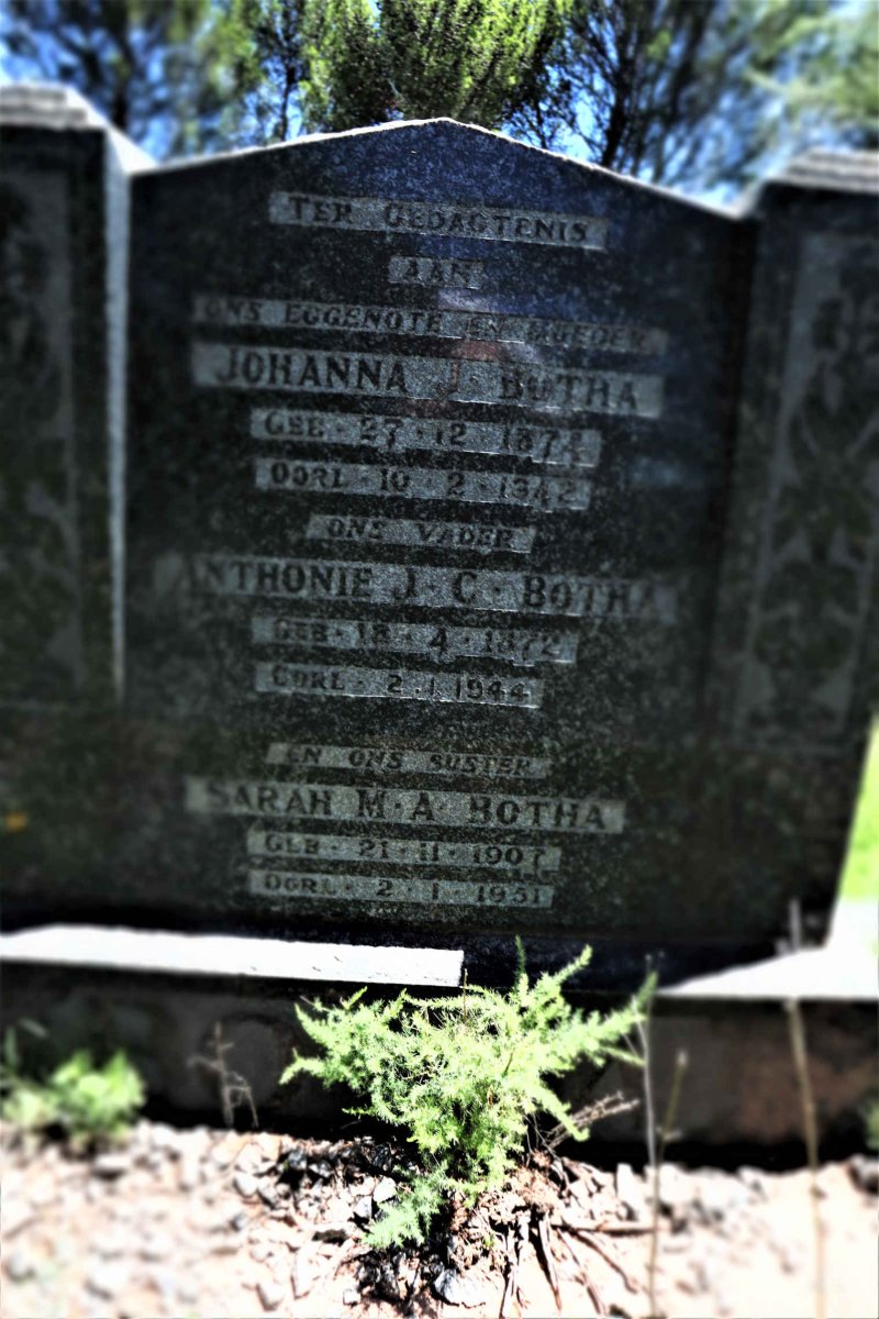 BOTHA Antonie J.C. 1872-1944 &amp; Johanna J. 1874-1942