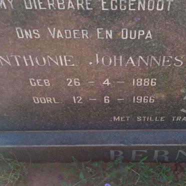 BERNARD Anthonie Johannes 1886-1966 &amp; J.C.H. DREYER 1900-1983