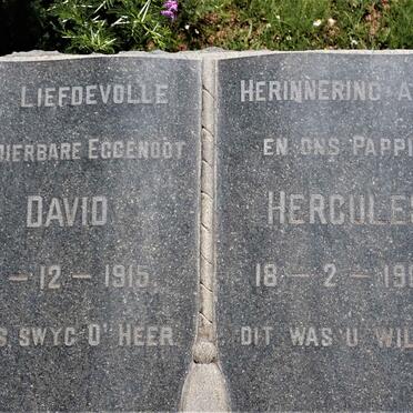 BOTHA David Hercules 1915-1969