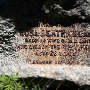 CARY Rosa Beatrice -1895