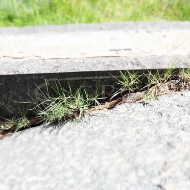 GROBLER Helena Catharina nee DELPORT 1880-1953