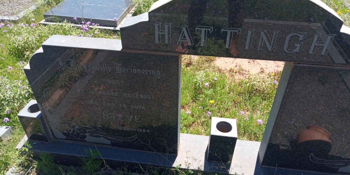 HATTINGH Steve 1909-1984