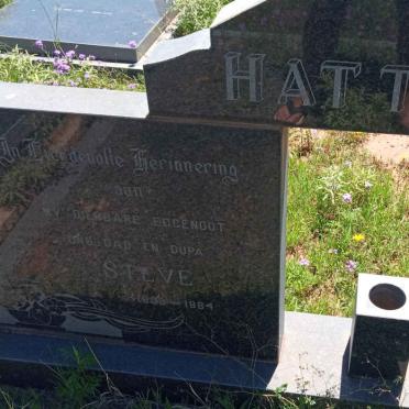 HATTINGH Steve 1909-1984