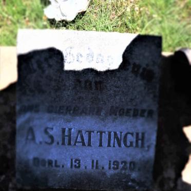 HATTINGH A.S. -1920