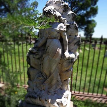 MCEWAN Alma 1871-1914