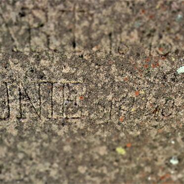 NEL Anna Johanna nee PIETERSEN 1876-19??