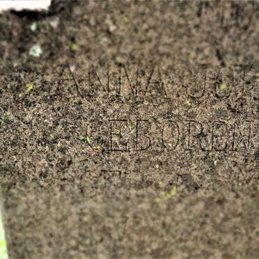 NEL Anna Johanna nee PIETERSEN 1876-19??