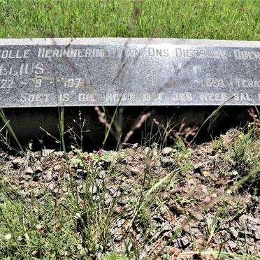 NORT? Lourens Cornelius 1897-1971 &amp; Louisa Johanna TERBLANCHE 1897-1962