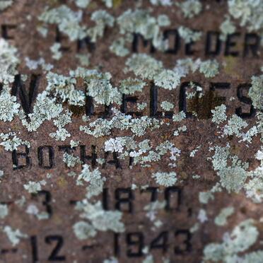 OELOFSE Andries J. 1887-1964 &amp;  Christina W. BOTHA 1870-1943