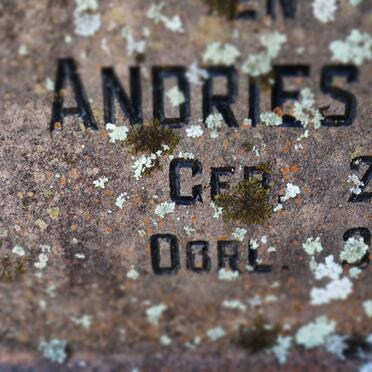 OELOFSE Andries J. 1887-1964 &amp;  Christina W. BOTHA 1870-1943