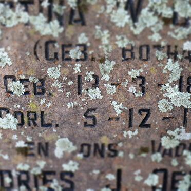 OELOFSE Andries J. 1887-1964 &amp;  Christina W. BOTHA 1870-1943