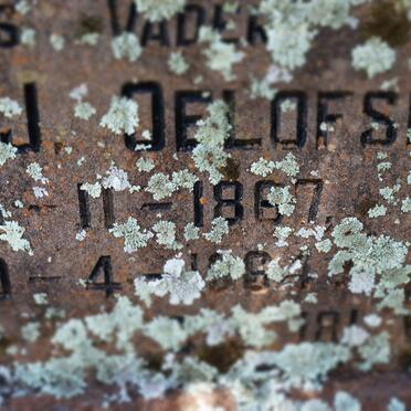 OELOFSE Andries J. 1887-1964 &amp;  Christina W. BOTHA 1870-1943